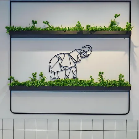 Urban Elephant